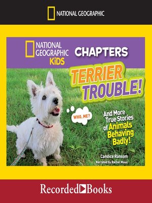 cover image of Terrier Trouble!